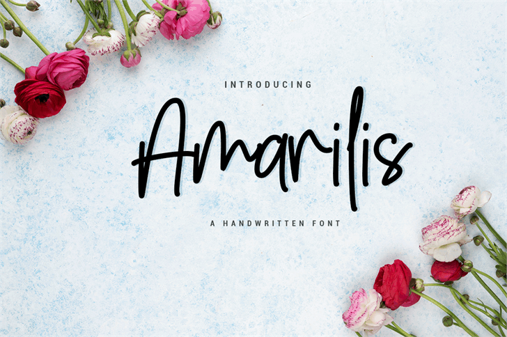 Download Amarilis Script font (typeface)