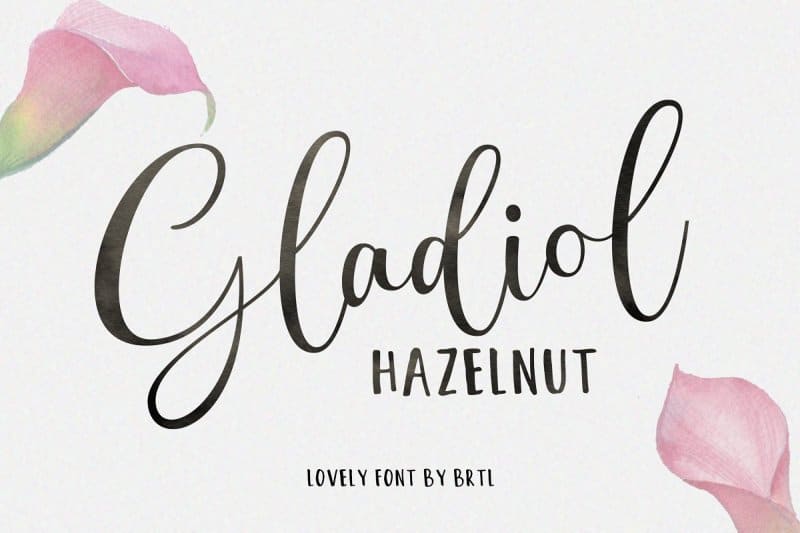 Download Gladiol Haze Lovely Script font (typeface)