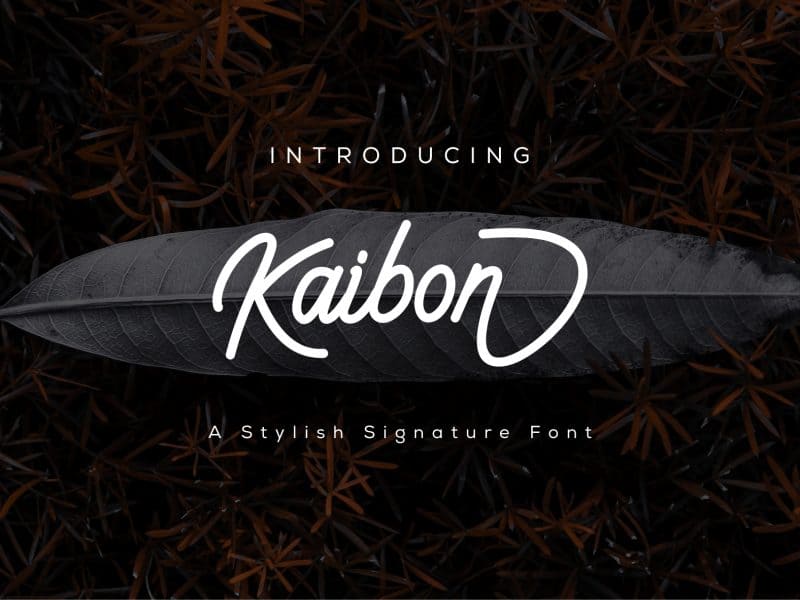Download Kaibon font (typeface)