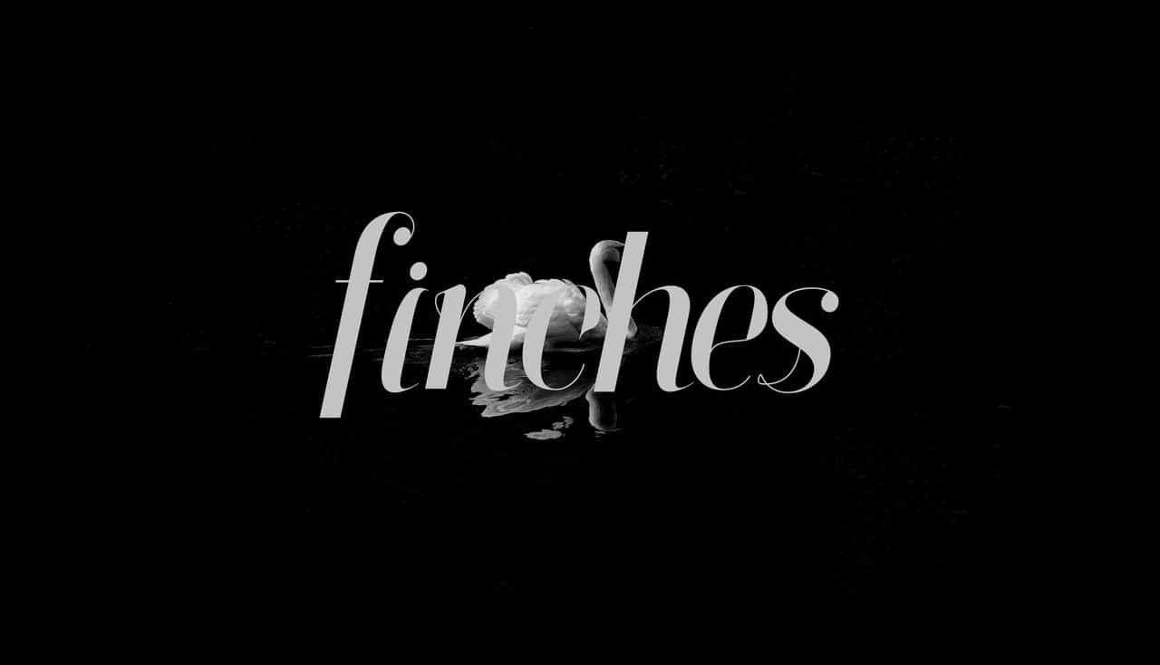 Download Finches font (typeface)