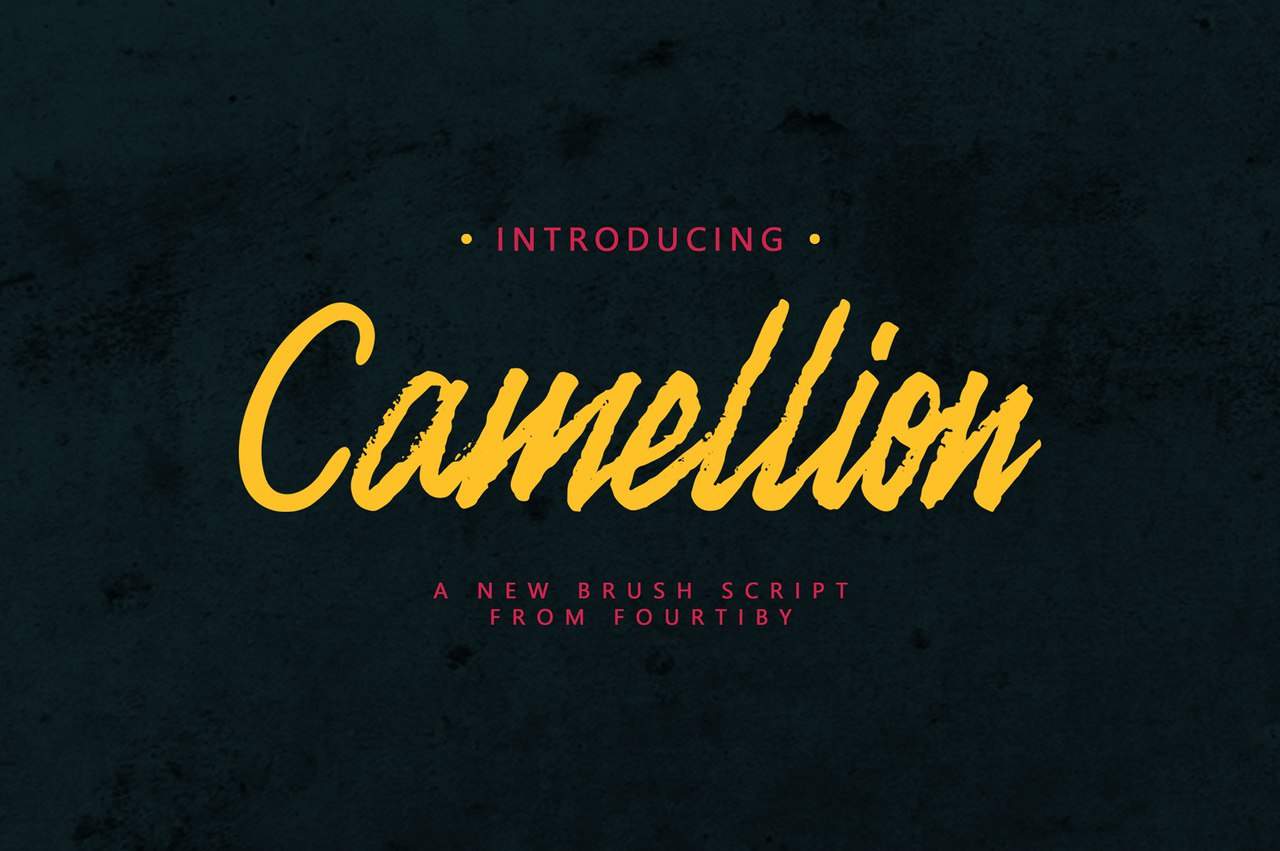 Download Camellion font (typeface)