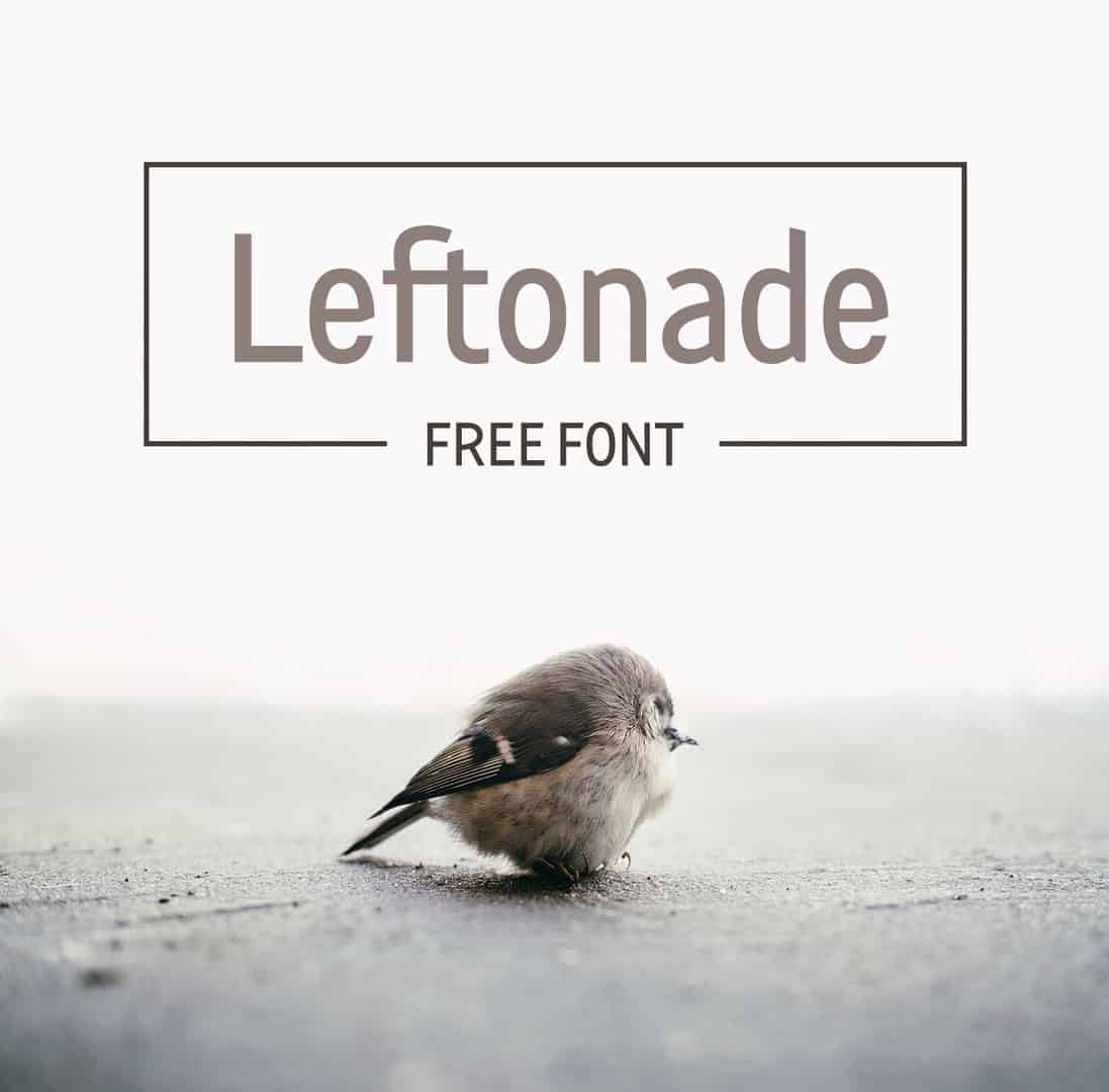 Download Leftonade font (typeface)