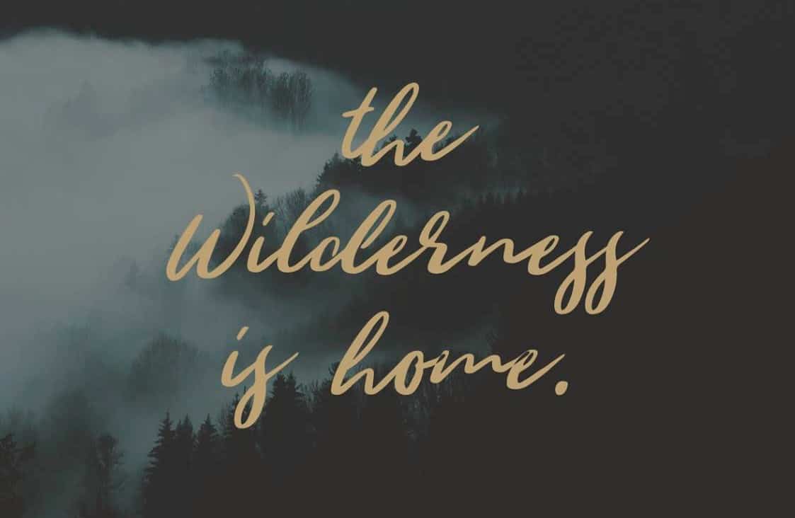 Download Wild Youth Regular font (typeface)