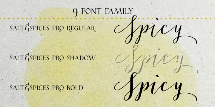 Download Salt & Spices Pro font (typeface)