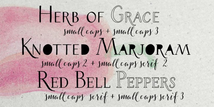 Download Salt & Spices Pro font (typeface)