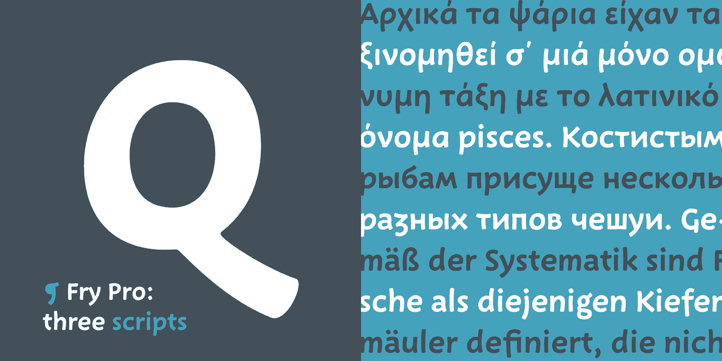 Download Fry Pro font (typeface)