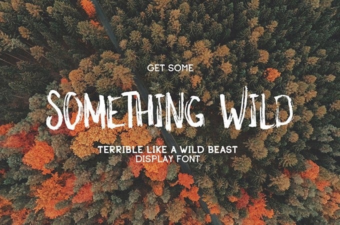 Download Something Wild font (typeface)