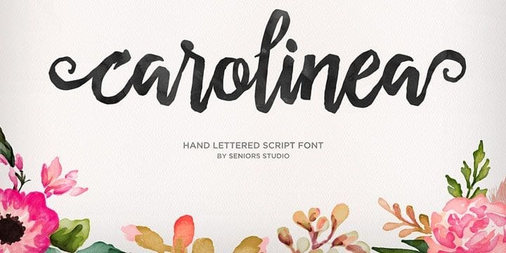 Download Carolinea Typeface font (typeface)
