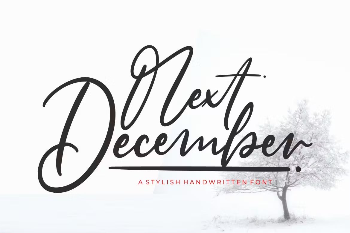 Download Next December font (typeface)